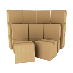 Medium Box Bundle